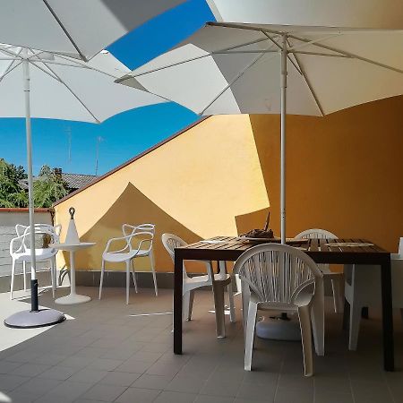 Appartamento Con Terrazza Lido delle Nazioni Ngoại thất bức ảnh